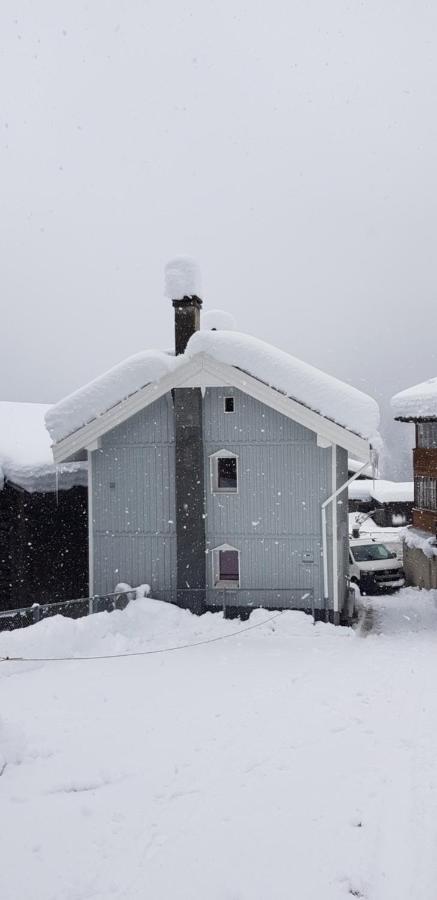 Casa Cuschina - Mit Sauna In Der Schoenen Surselva Dardin Екстер'єр фото