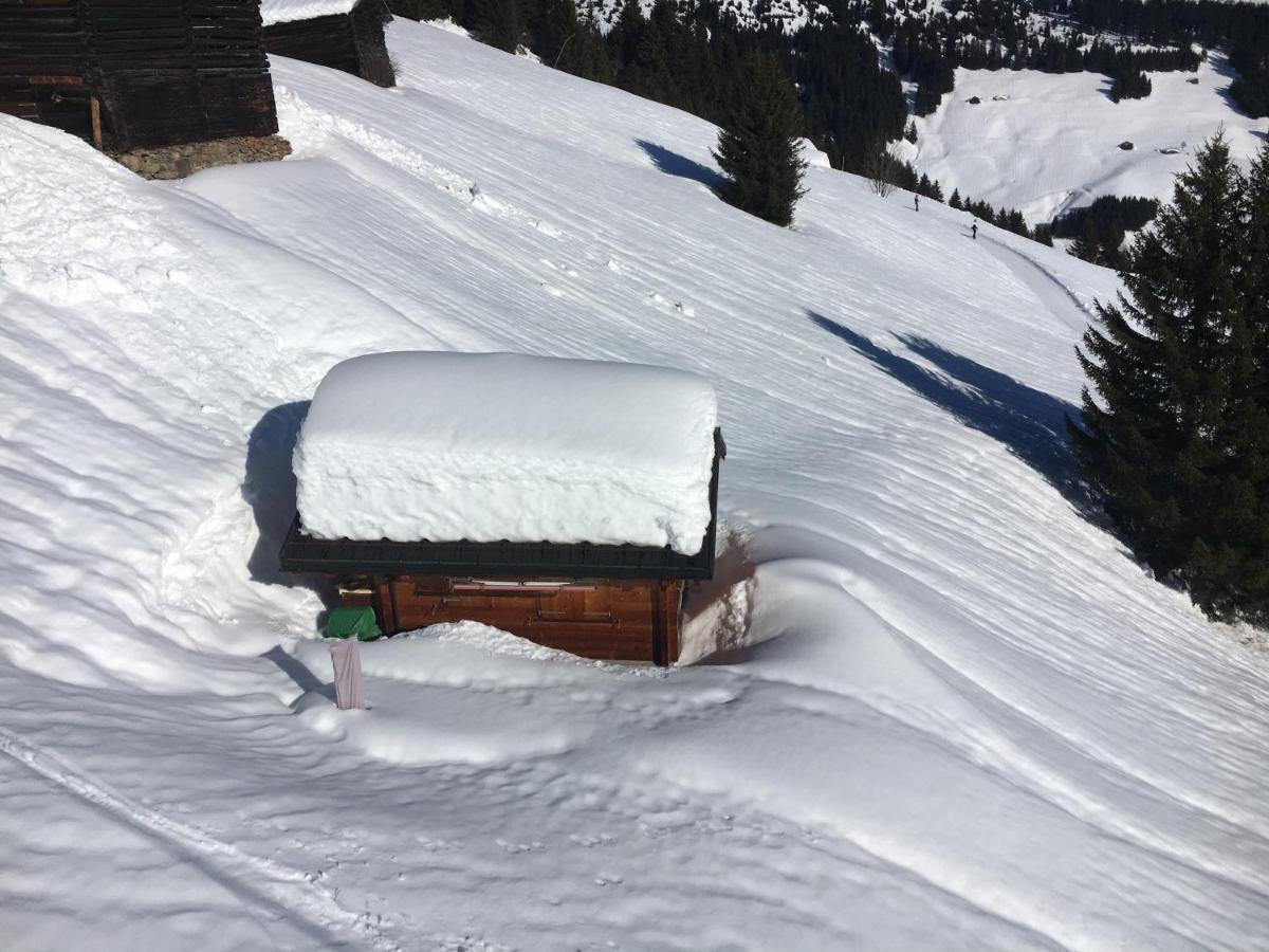 Casa Cuschina - Mit Sauna In Der Schoenen Surselva Dardin Екстер'єр фото